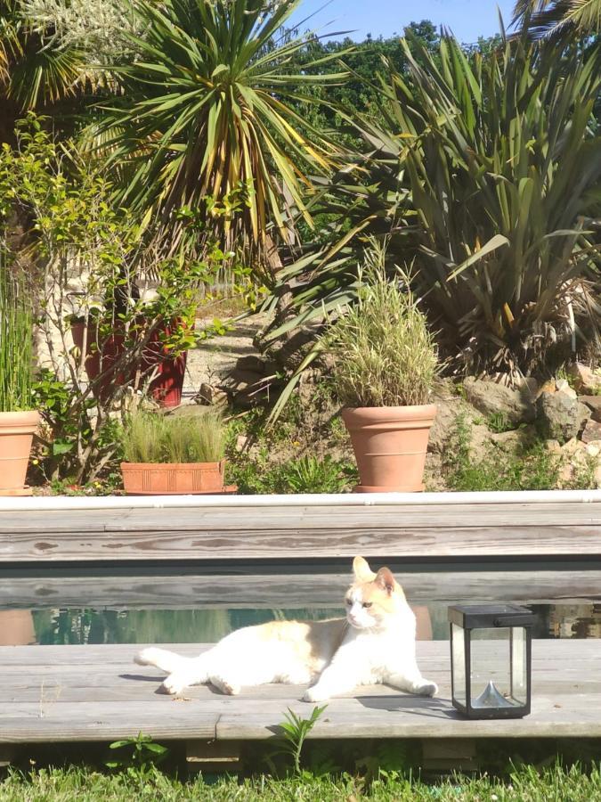 La Petite Hautiere Maison 2 Personnes Plouer Sur Rance Avec Piscine Apartamento Exterior foto